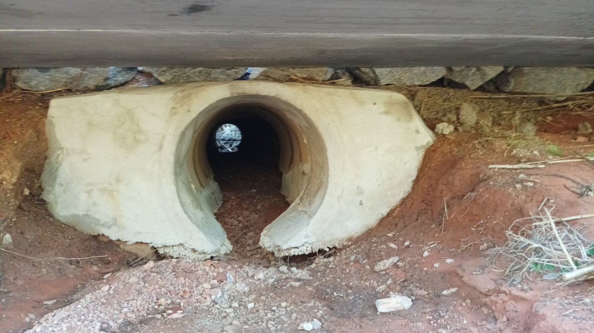 Miquel Àngel Sòria 🎗️Octubrista tweet media