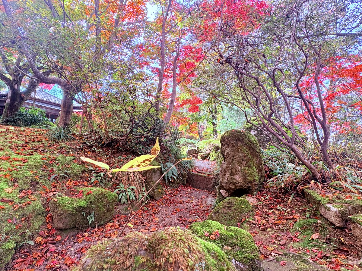 キタジン@kind tweet media