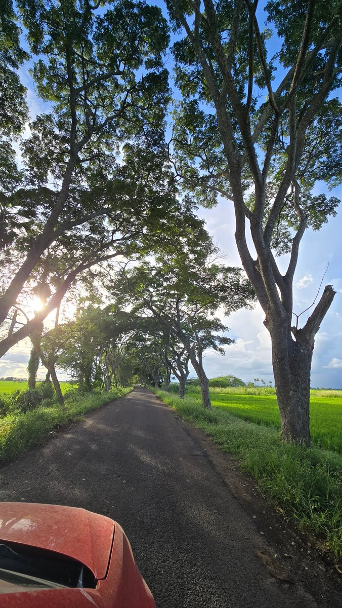 This is on the way to my home 🏠