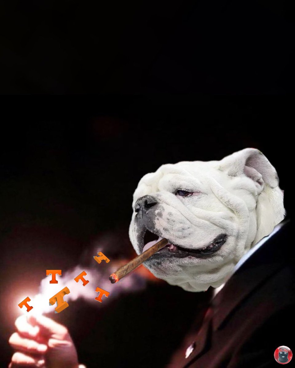 Kirby’s Vi$or tweet media