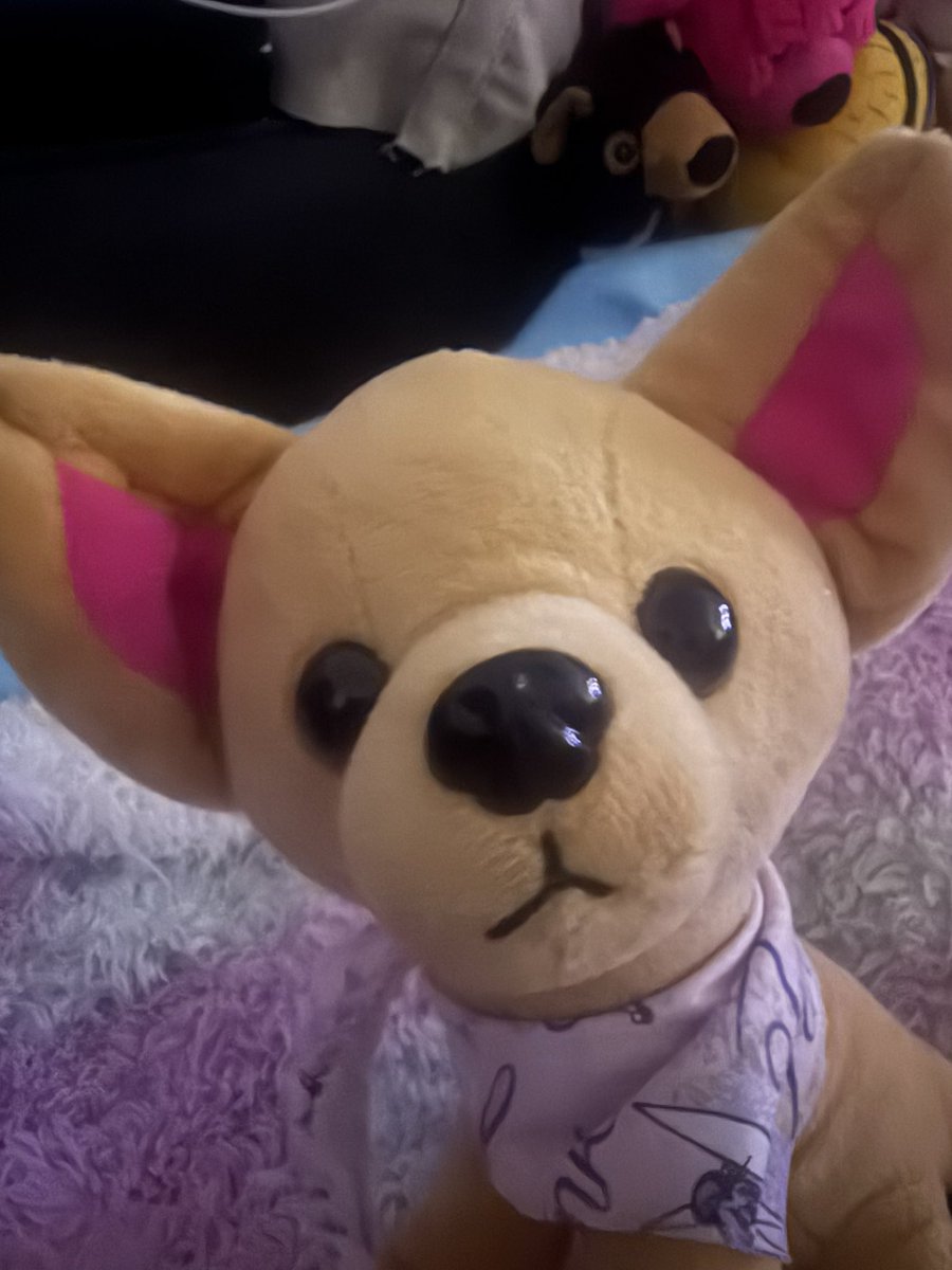 Mini_Tink_'s tweet image. Selfie time! 

#minitink #plushiesoftwitter #dogsofx #tatertotsquad #dogsoftwitter