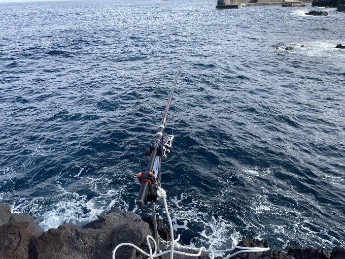 ロイヤルエントリー🎣したものの餌取りガッキー以外無反応 良いところにルアーの人入っちゃったワン…クゥーン… 