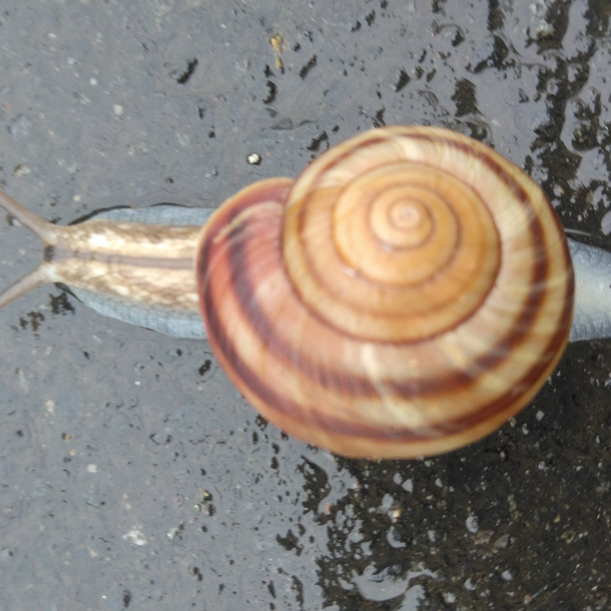 #新しいプロフィール画像