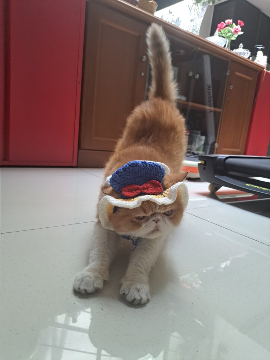 buttercxpie's tweet photo. Nov 2020 - 6 Nov 2024
Fly high big boy. Miss you so much🥹🤍 https://t.co/0YTTkHhJLI