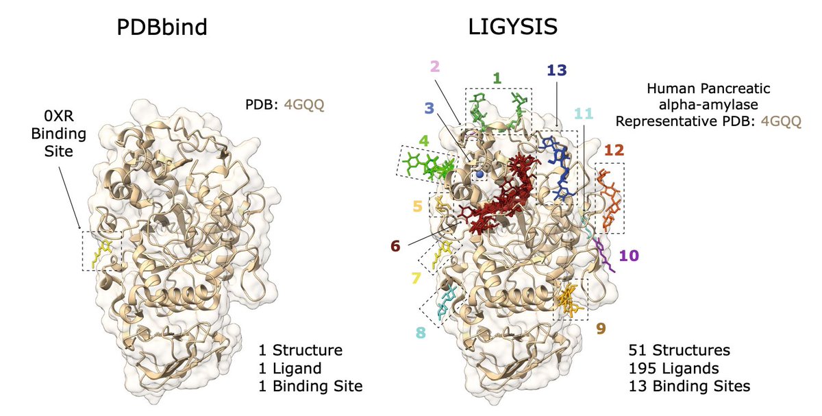 Comparative Evaluation of Methods for the Prediction of Protein–Ligand Binding Sites <a href="/jcheminf/">Journal of Cheminformatics</a>

1. This study benchmarks 13 state-of-the-art protein–ligand binding site prediction methods across three decades, introducing the new LIGYSIS dataset with 30,000 biologically relevant