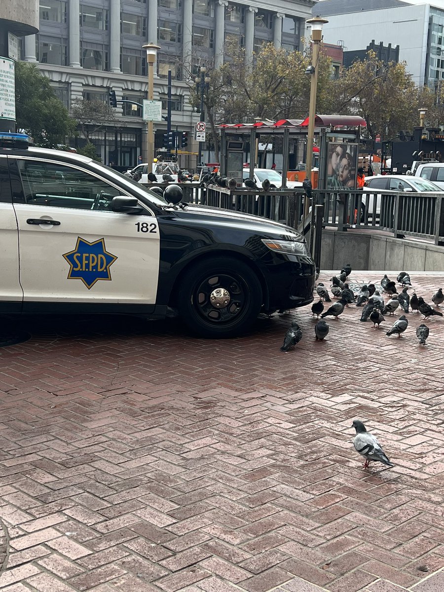 A NY moment in San Francisco 🐦