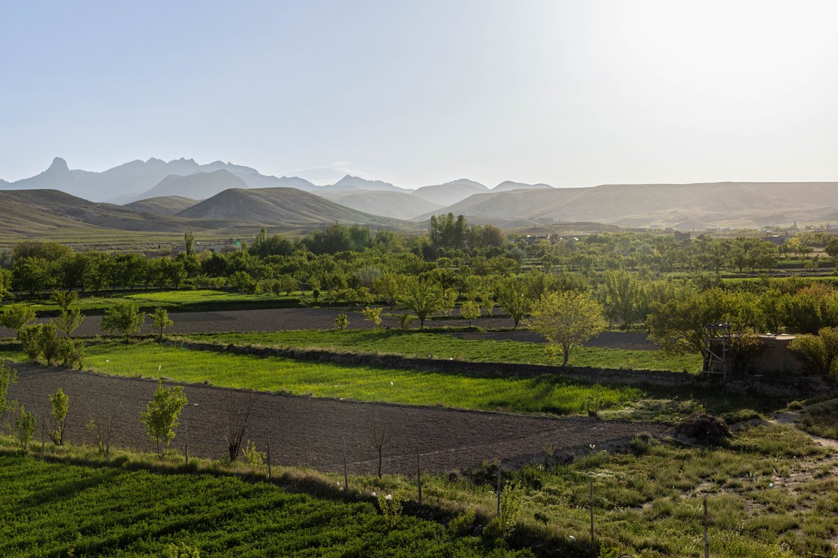 Morning view of Ghujur, Jaghuri district, Ghazni. 

Regardless to what happens in Afghanistan, Jaghuri keeps breathing beauty.

Jaghuri Zeba