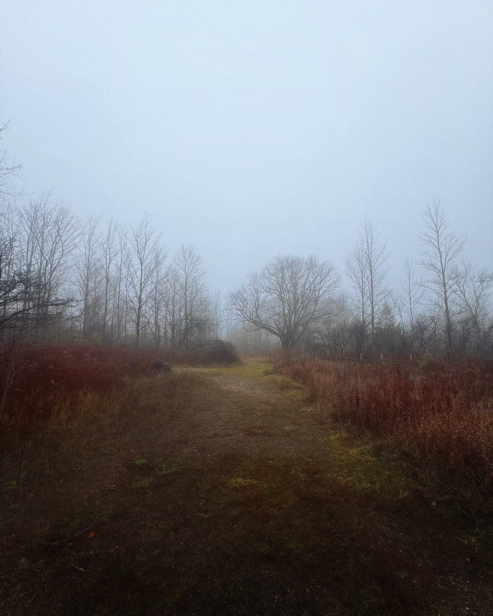 4U3G0's tweet photo. through the fog https://t.co/v2rHJb9PrW