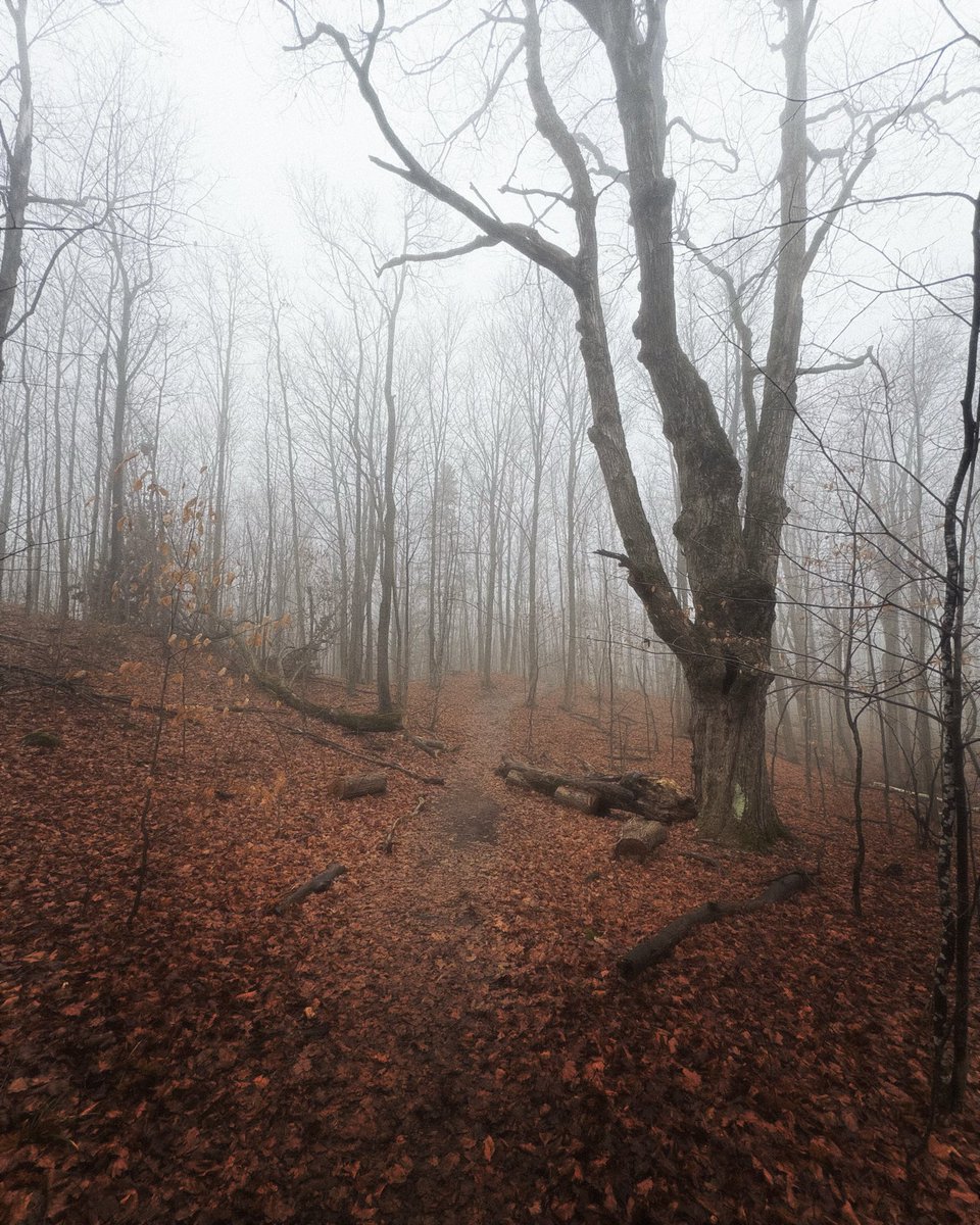 4U3G0's tweet photo. through the fog https://t.co/v2rHJb9PrW