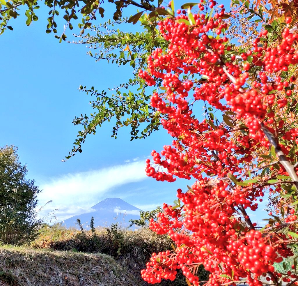 E47162381's tweet photo. ☀🐔おはようございます!
⛅️雲は🍃爽やかな🌾秋風に流され✨天晴な🍁秋の✈️お空です!😙笑笑!✨️まずは👕お洗濯から・・・!🥰笑笑!
🌹良き善き一日になりますように!🤗🌈　＃お花���🫰 https://t.co/viRcsBxWn7