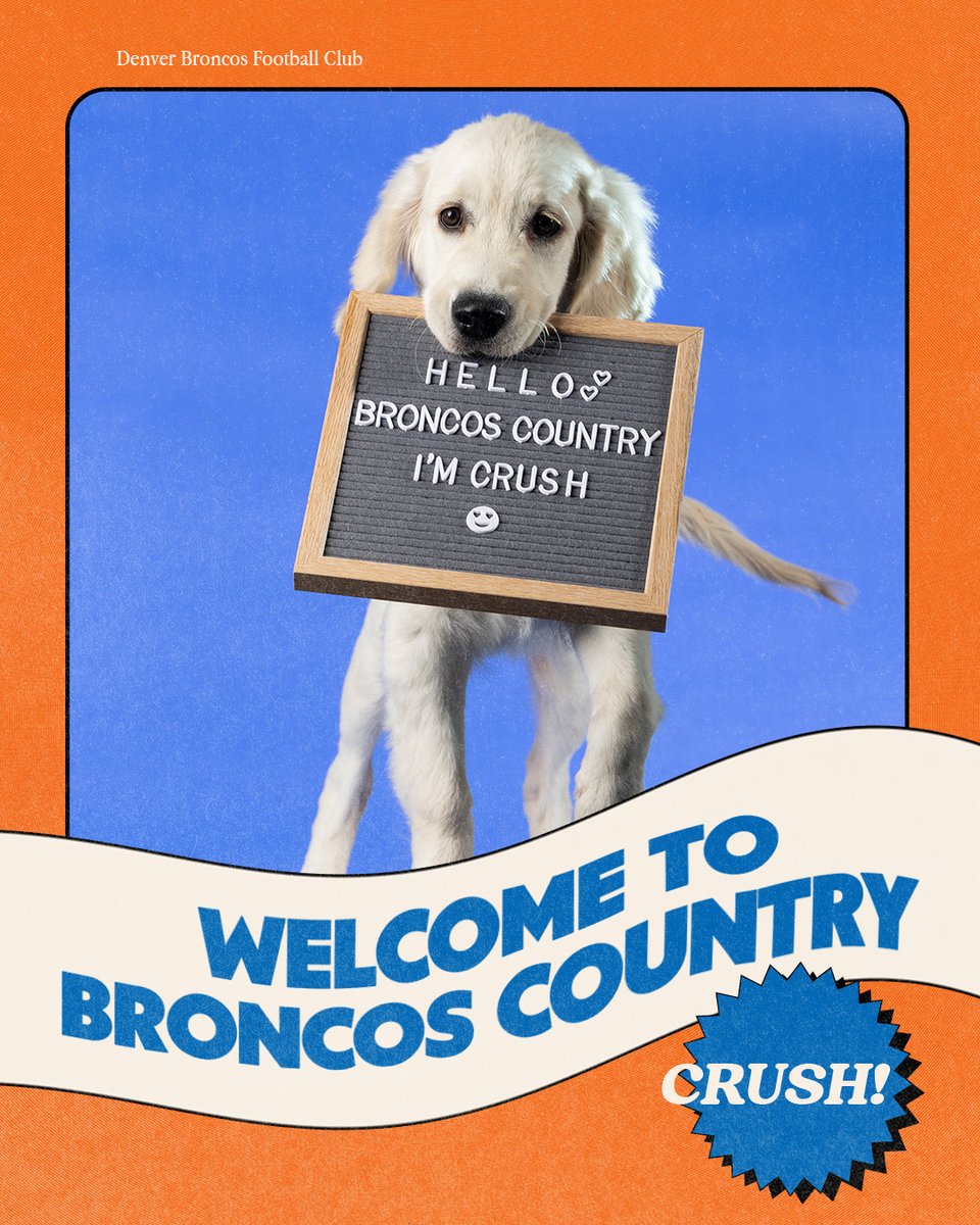 Broncos's tweet image. #BroncosCountry, meet Crush! 🐾

We're proud to sponsor the training of another service dog in partnership with @k9sforwarriors.
