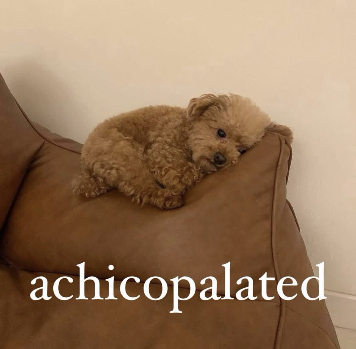 ESTEFI MERELLES 🤍 (@estefimerelles) on Twitter photo 