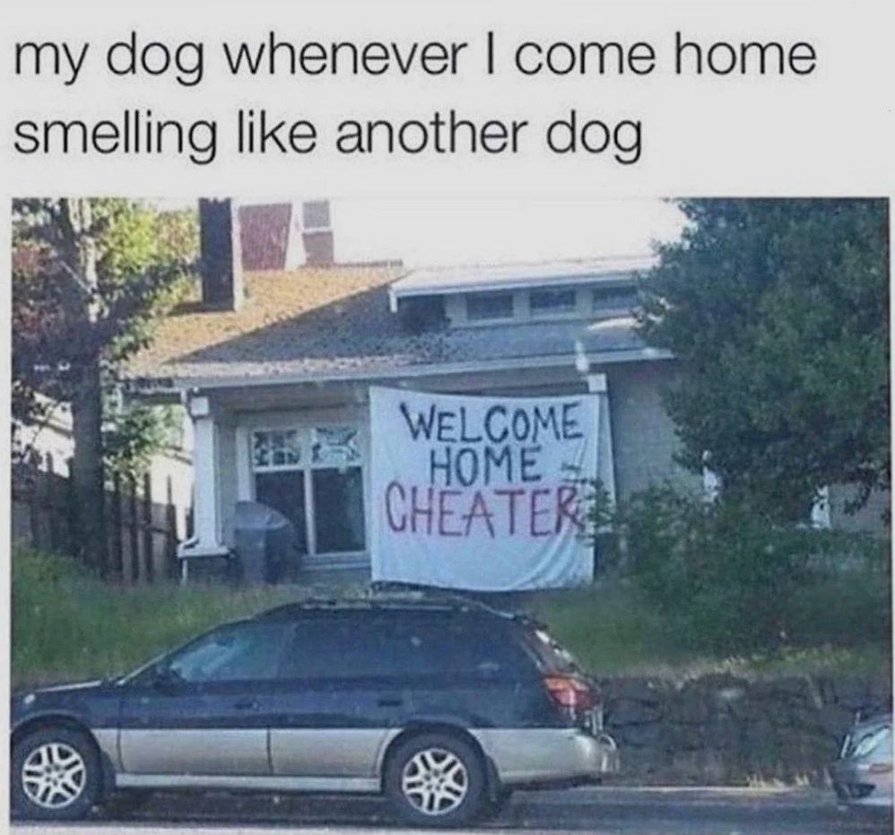 WholesomeMemes (@wholesomememe) on Twitter photo 