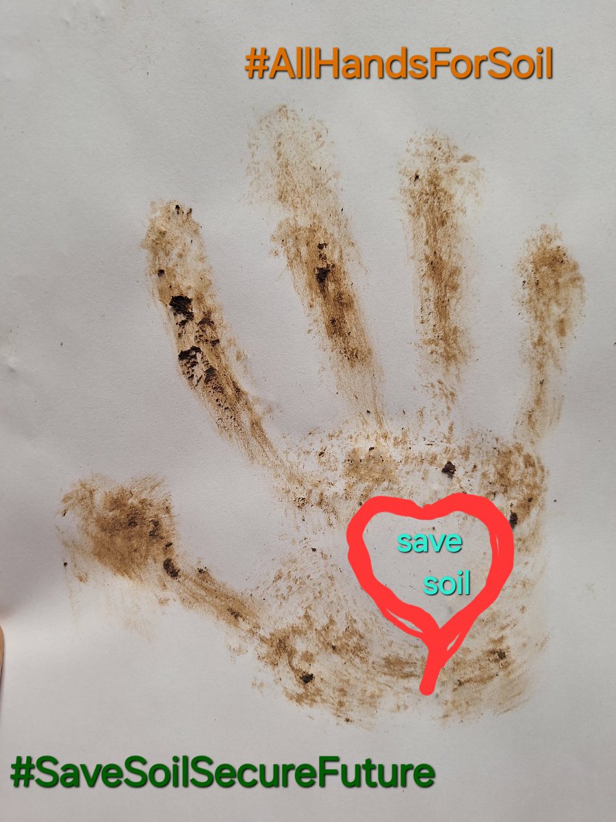 VeilSeeker tweet media