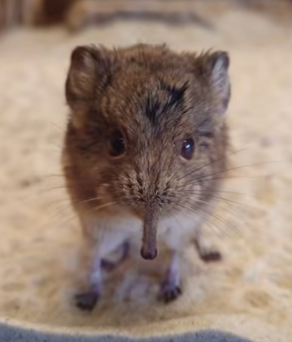 big fan of whatever the fuck this thing is