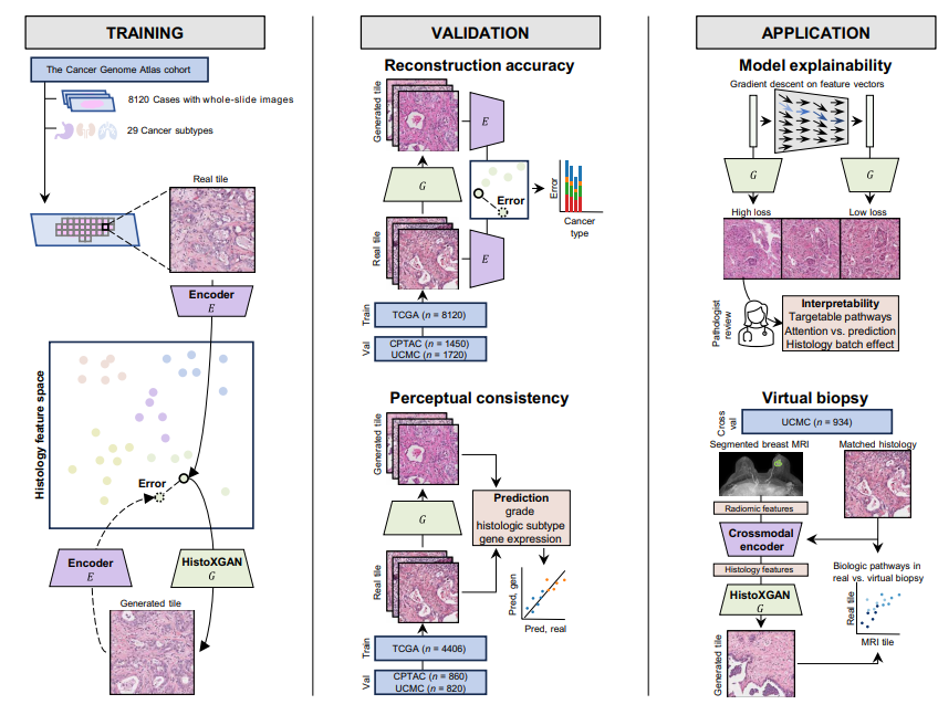 UChicagoCancerCenter tweet media