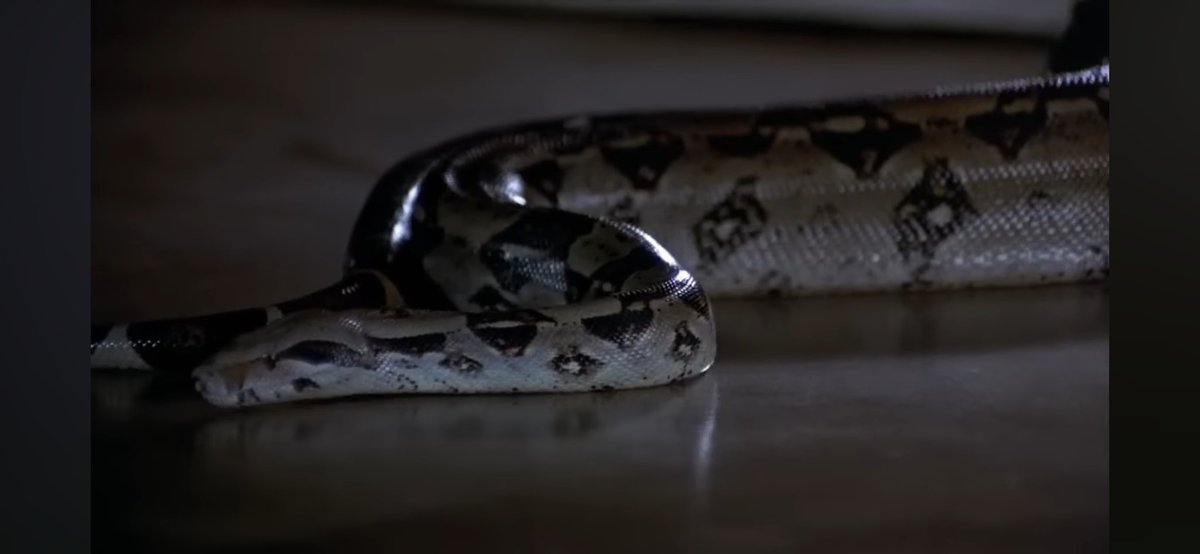 bloodybeautymfx's tweet image. This is more stressful than when he worked for Blowfeld. #svengoolie #DrPhibesRisesAgain