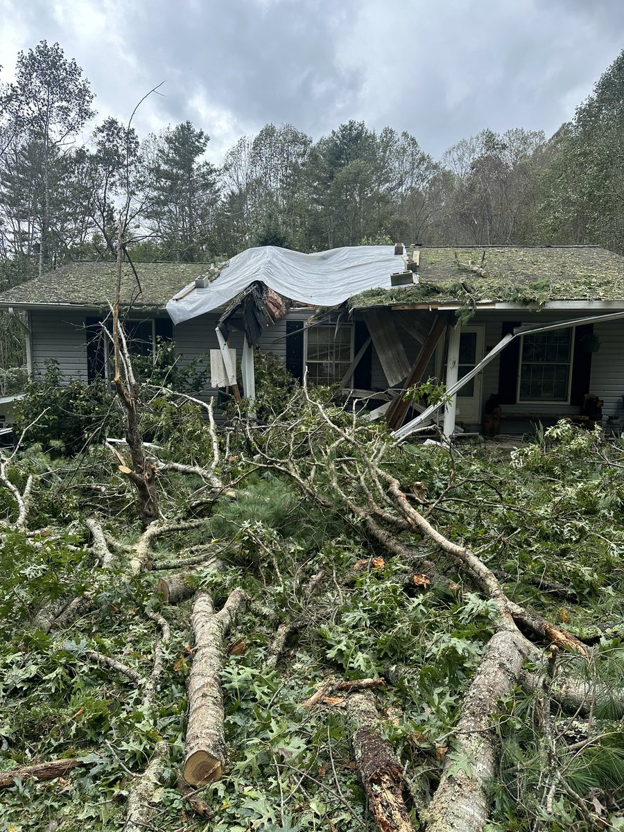 Gretchen Smith🇺🇸 tweet media