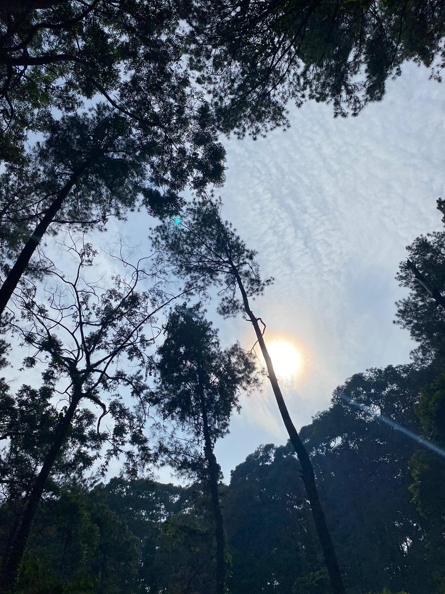 NRamdani7's tweet photo. ga semuanya harus di rayakan bukan?*.✧ https://t.co/jOyvHCd5aT