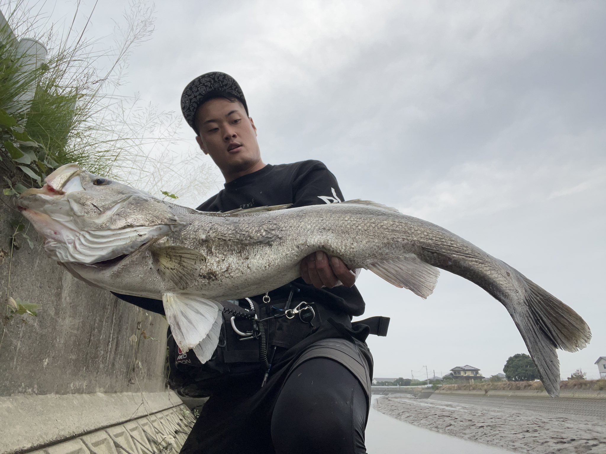 ブルーブルー ブローウィン&アイザー キウイセット BlueBlue（ブルー