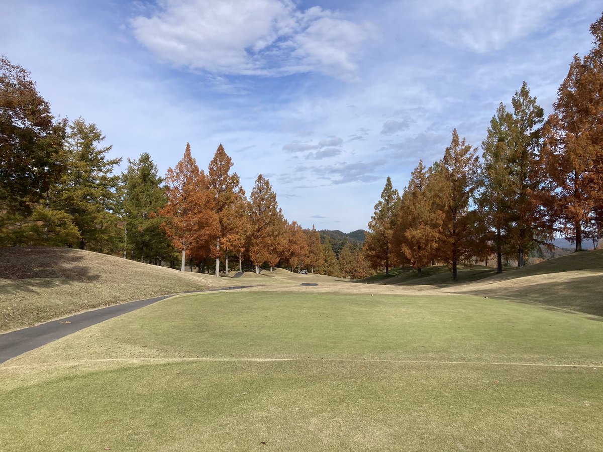 ⛳Hi-Rush🏌️ tweet media