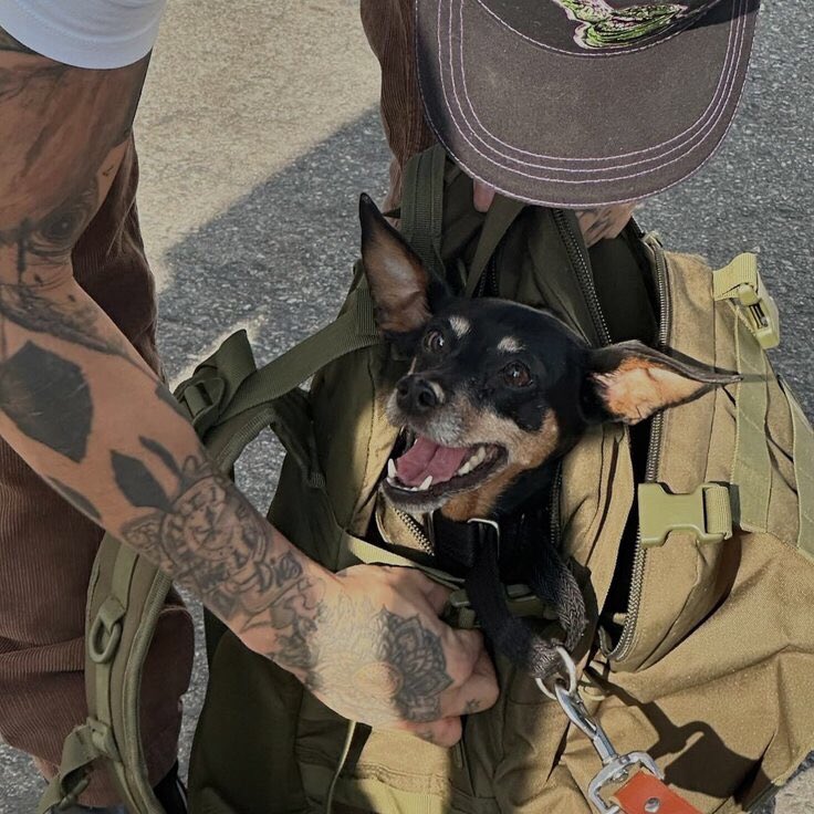 Packing it up with Lori.