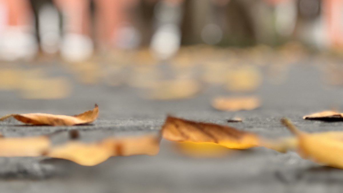 BITWU.ETH 🔆 tweet media