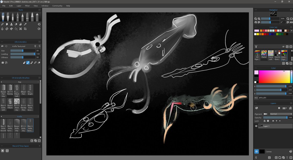 rapidpunches's tweet photo. No matter what happens I will draw and paint so many sea animals :) https://t.co/Qd9fwetFD3
