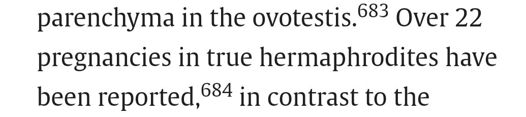 TheRussianMafiaMan tweet media