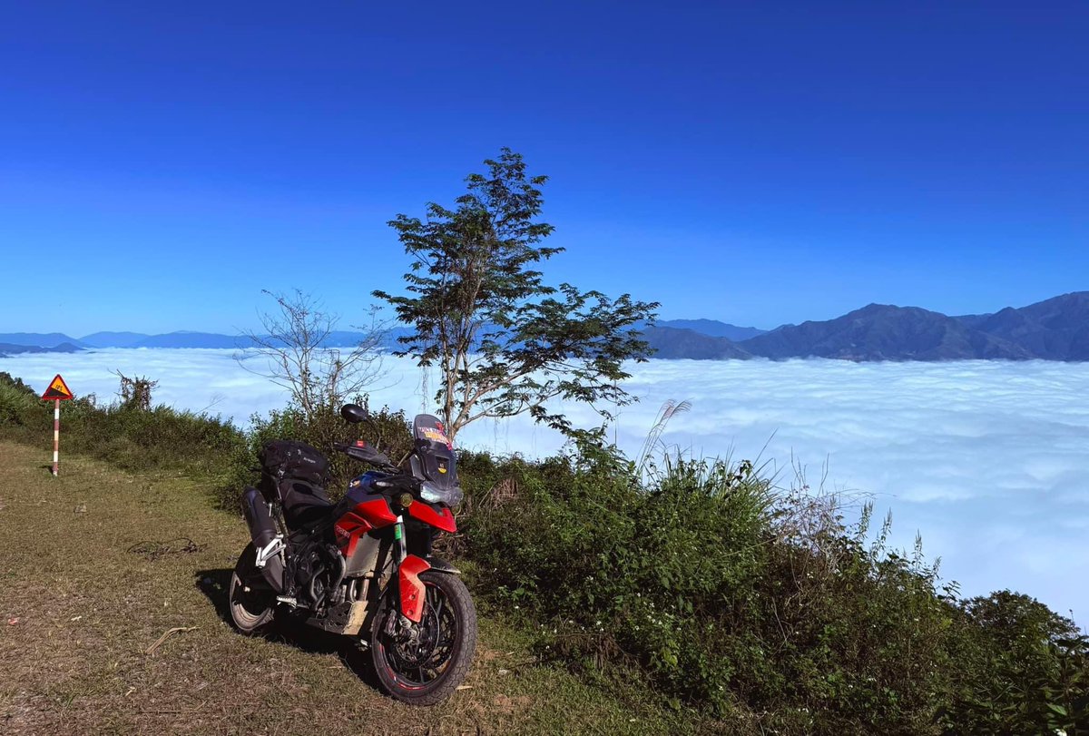 Color Viêt Nam tweet media