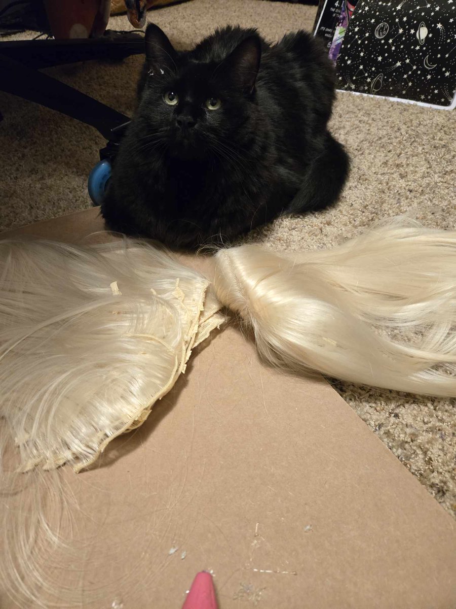ladylunafox's tweet image. My crafting supervisor Aylin. Any time I am crafting she is usually nearby. Either judging or supervising lol