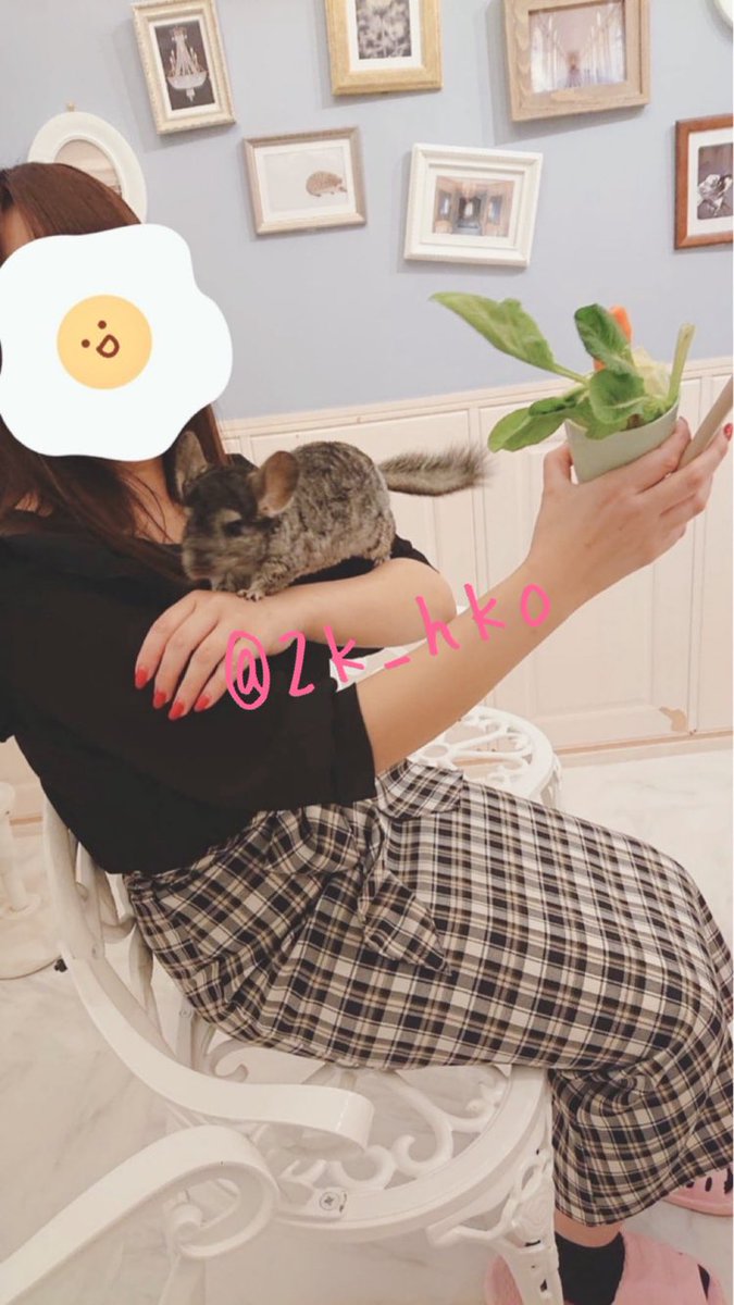 miyu tweet media