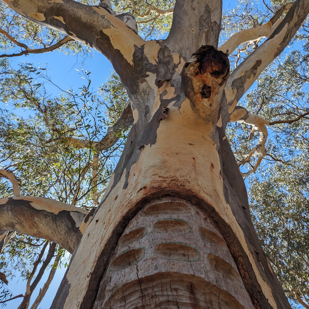 Fern Hames (@fernhames) on Twitter photo I joined this place in 2011 and it was great, for a while. I've been quiet here for about a year though, and now I'm exploring bluer skies. See you there, you can find me <a href="/fernhames/">Fern Hames</a>.bsky.social I joined this place in 2011 and it was great, for a while. I've been quiet here for about a year though, and now I'm exploring bluer skies. See you there, you can find me <a href="/fernhames/">Fern Hames</a>.bsky.social