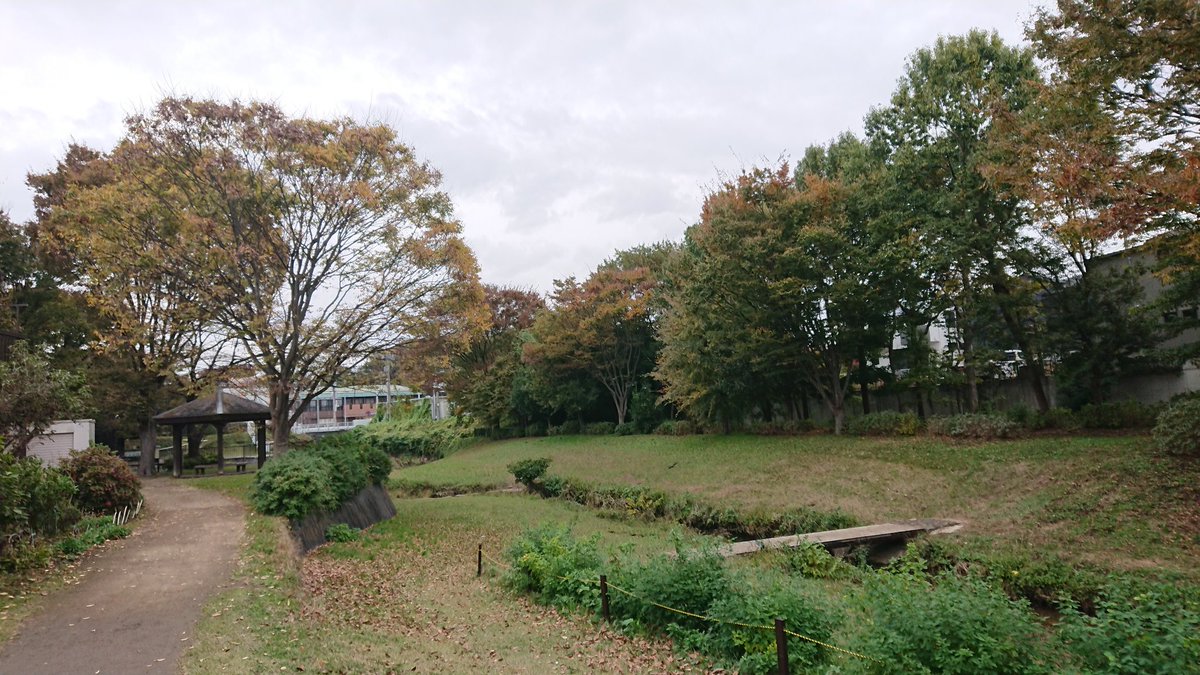 mifapoo's tweet image. 紅葉が綺麗