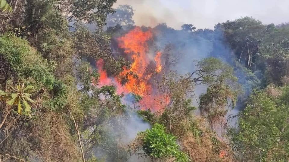 ecuadorprensaec's tweet photo. GRACIAS PERÚ | "Helicópteros de #Ecuador y #Perú llegan a #Catamayo para luchar contra el incendio en #Vilcabamba. La comunidad y bomberos también en acción. #EmergenciaForestal"
🔗https://t.co/RvUxDgWa5x✍️ https://t.co/i1RbAFxzRI