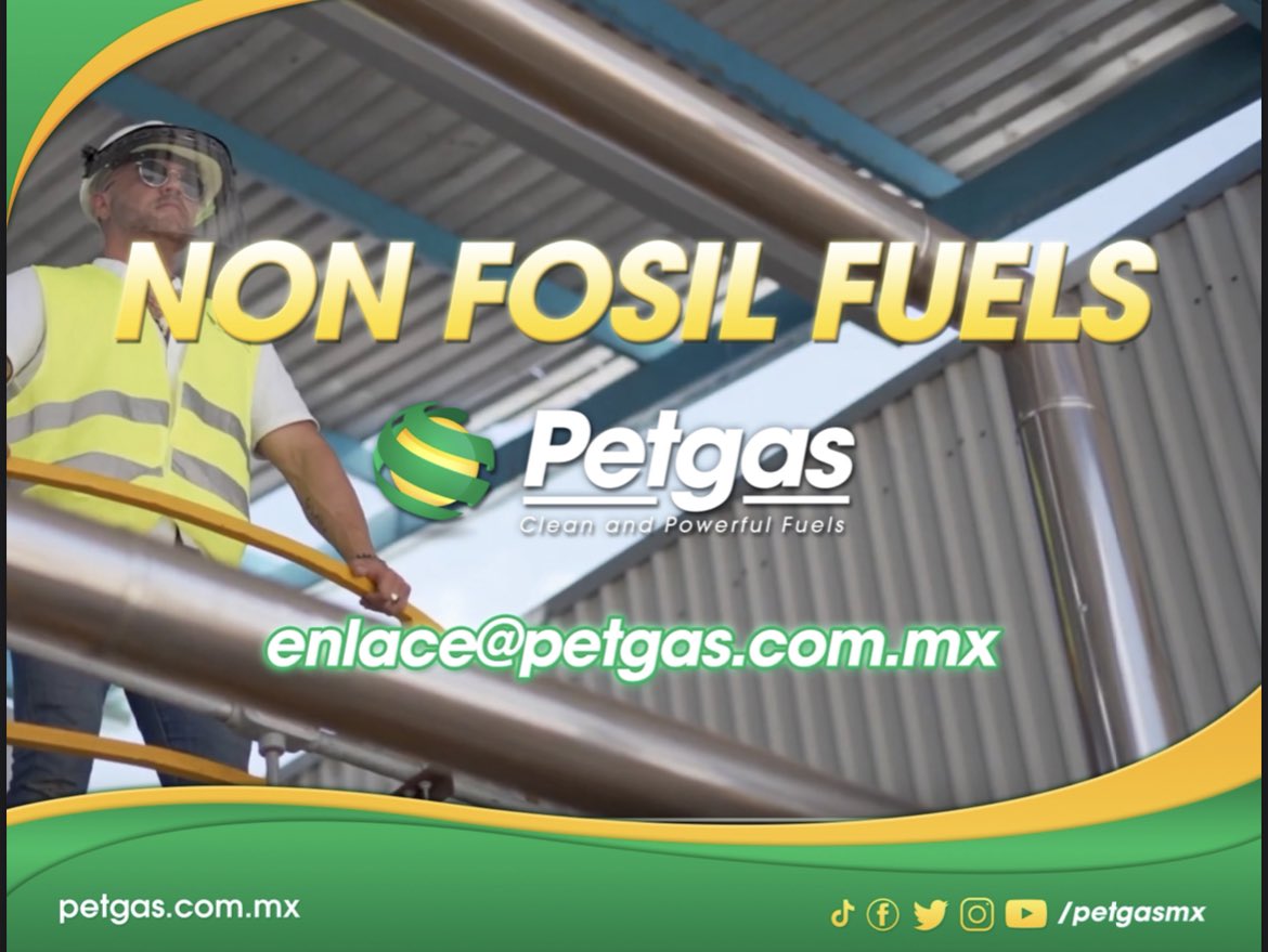 petgasmx's tweet image. 🫡