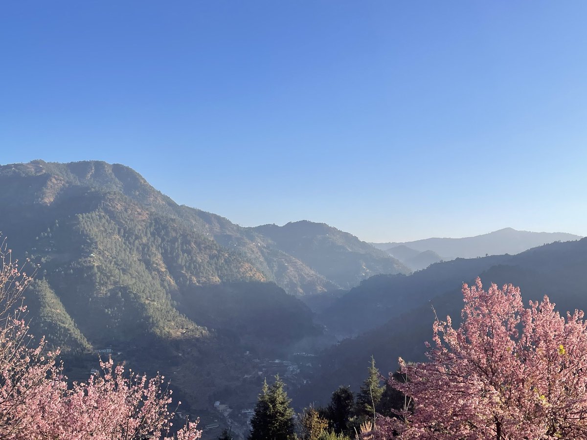 bhartijainTOI's tweet photo. #viewfromtheroom Good morning! https://t.co/EQhRROtxrm