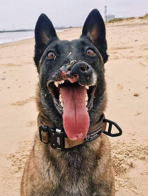 Nobody Loves Me 😞🥺 I hope I get some love here 💞