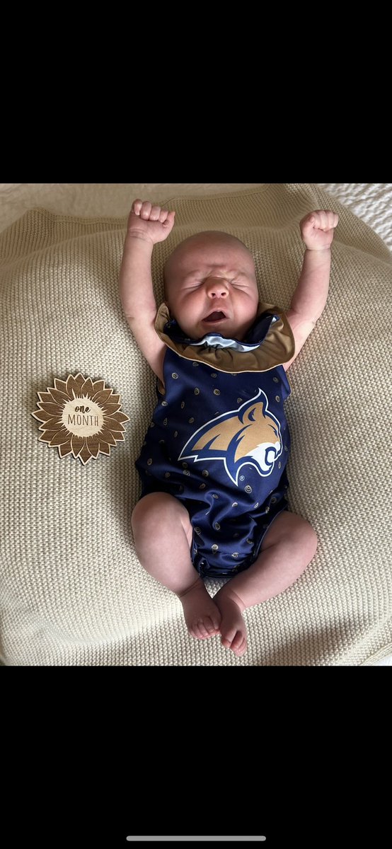 Tystanich1's tweet photo. #mmafanzone GO CATS! https://t.co/iOXi7QMp06