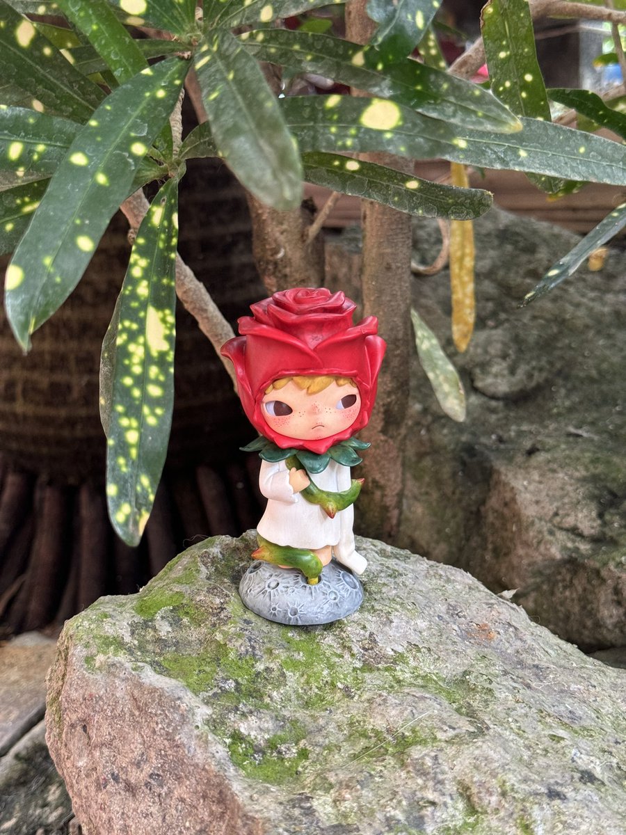 JL_Cartz's tweet photo. INTEREST CHECK 

hirono lil petit 
unsealed, fresh pull!
With box and foil (card included)

meetups in ayala cloverleaf/ sm baliwag
sdd manila

Dm if interested 

🏷️ le petit prince the little prince hirono reshape mime https://t.co/4xaogiq5Ge