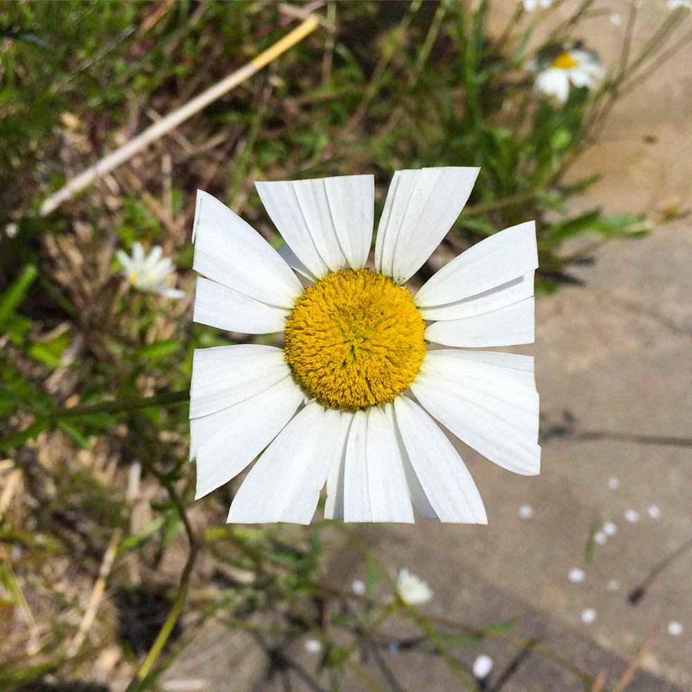 DOESNOTEXIST (@doesnotex_ist) on Twitter photo 