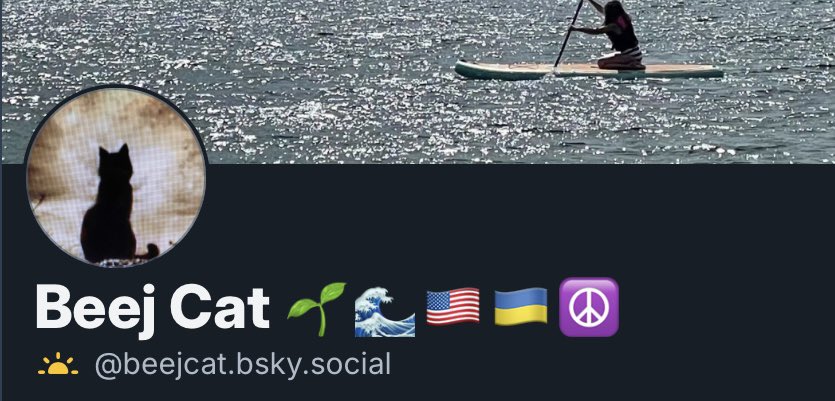 Beej Cat 🐈‍⬛🐾🌱🌊🇺🇸🇺🇦☮️ tweet media