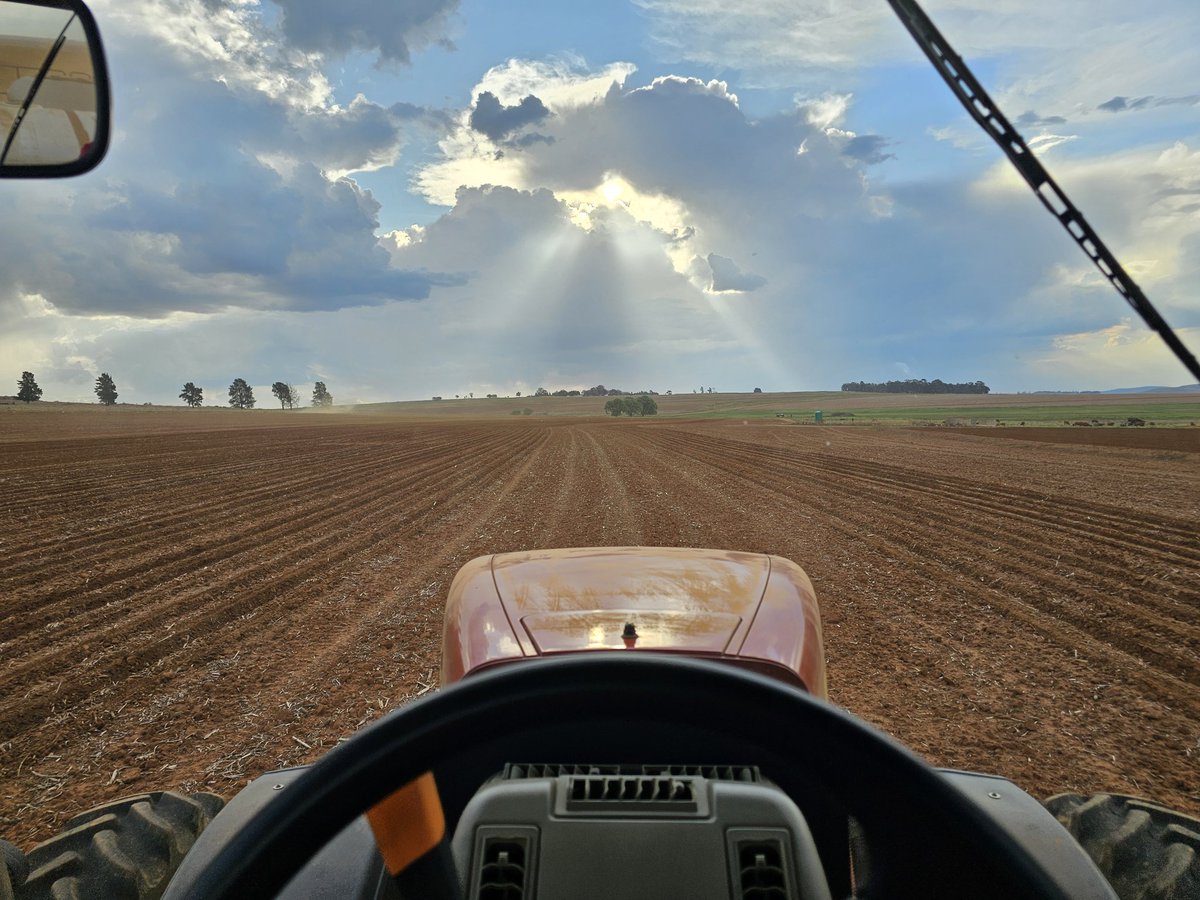 Danie Bester tweet media