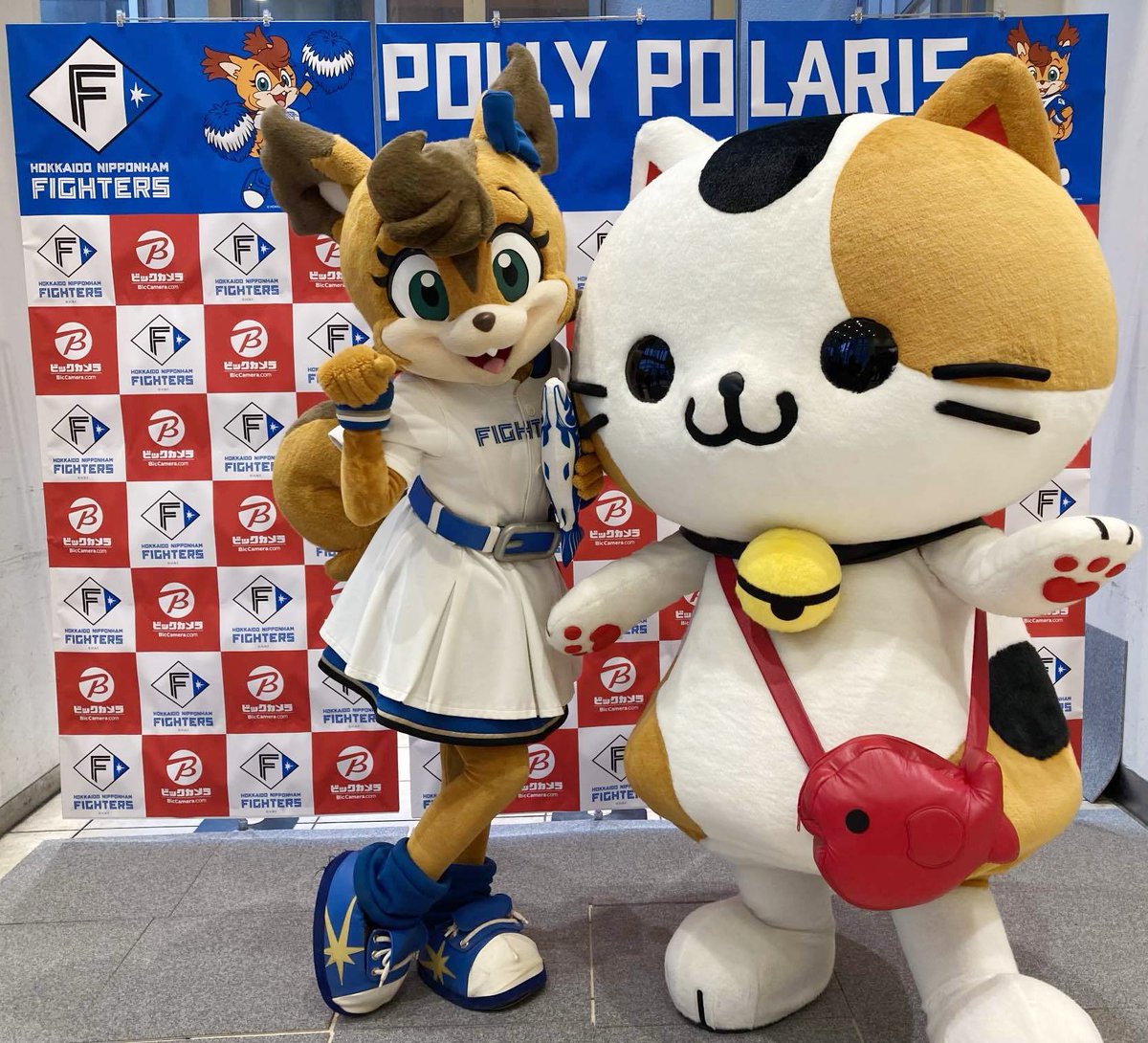本日11月17日（日） 北海道日本ハムファイターズのポリーポラリスが