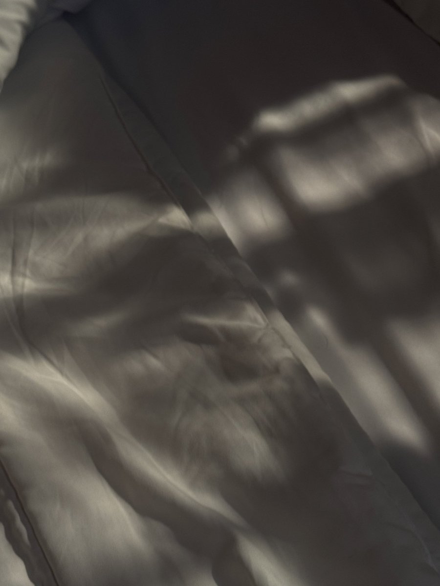 THE LOYAL PIN FINAL EP 
#ปิ่นภักดิ์ตอนจบ