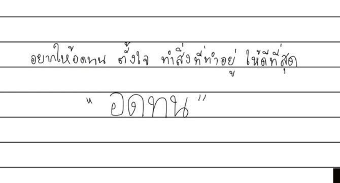 Prince Fluffy  미국칭구 tweet media