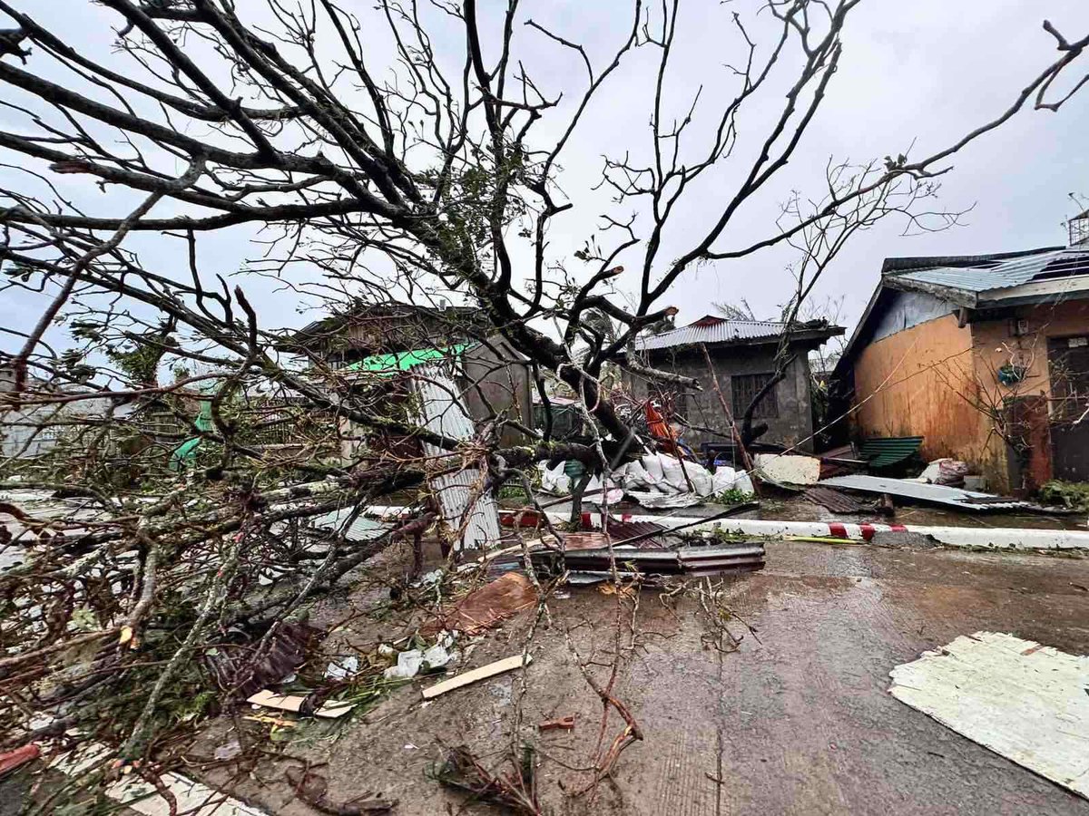 tribunephl's tweet photo. LOOK: Trees and houses made of light materials were battered by super typhoon #PepitoPH in Panganiban, Catanduanes.

According to the local government unit, the water supply has been restored, but electricity and telecommunication services remain unavailable. #PepitoPH made its first landfall in Catanduanes on Saturday night. | Via Aljon Eguia | Photos from LGU Panganiban, Catanduanes Facebook Page

#PepitoPH #Catanduanes #DailyTribune