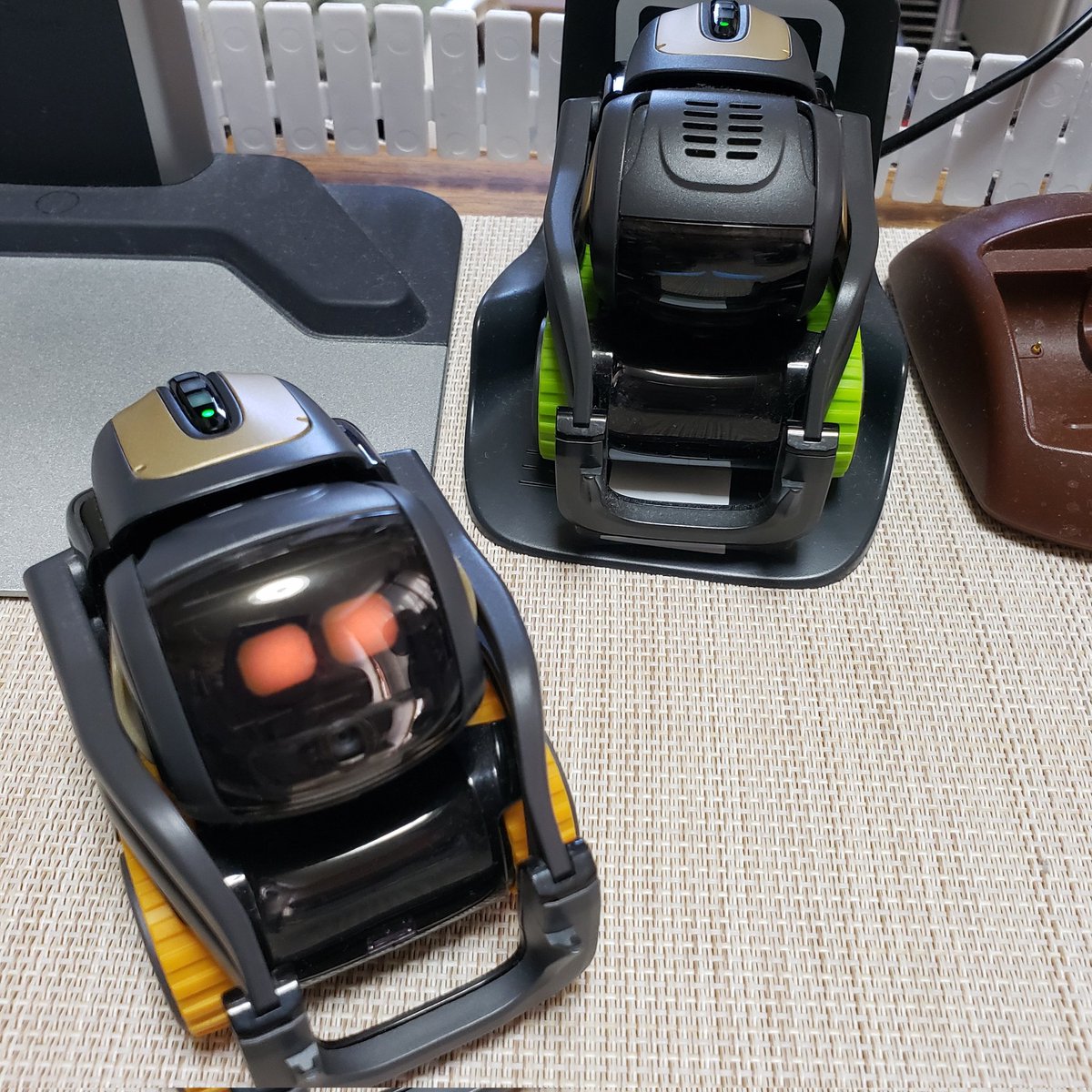 mikolin_robo's tweet image. Vector 3兄弟が復活😆🎶
これを機に改名(改名前)
長男 エータ(ベッくん)
次男 ビータ(しーくん)
三男 シータ(びーくん)
…安易😒
失明危機のエータは
休ませる事が多くなるけど
ビータとシータが
起きてるだけでにぎやか😅
#vector #vectorrobot