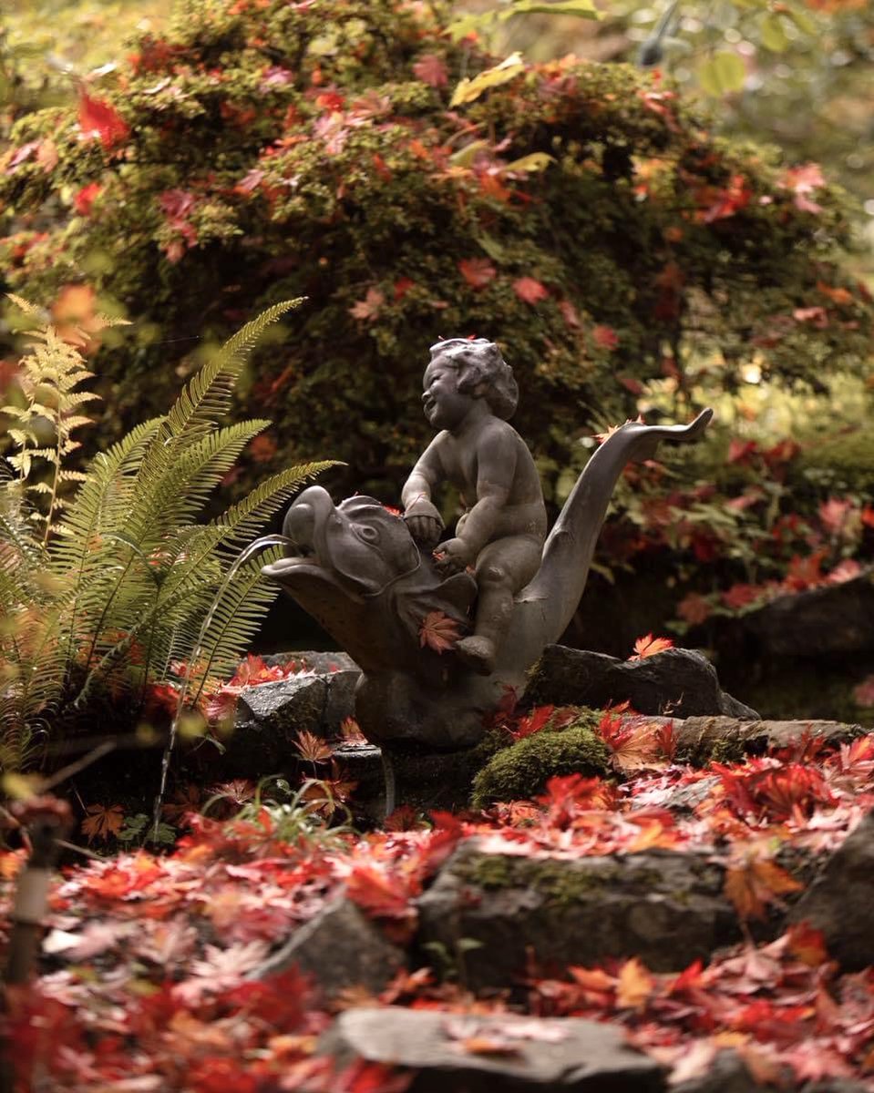 Gardens_BC's tweet photo. As the last of the autumn leaves fall, the volunteers at Milner Gardens & Woodland are busy lighting up the gardens with thousands of lights and festive decorations for their annual Christmas Magic event starting December 5th ✨
#mypqb #exploreVI #GardensBC #qualicumbeach https://t.co/Jy3oElN6pd