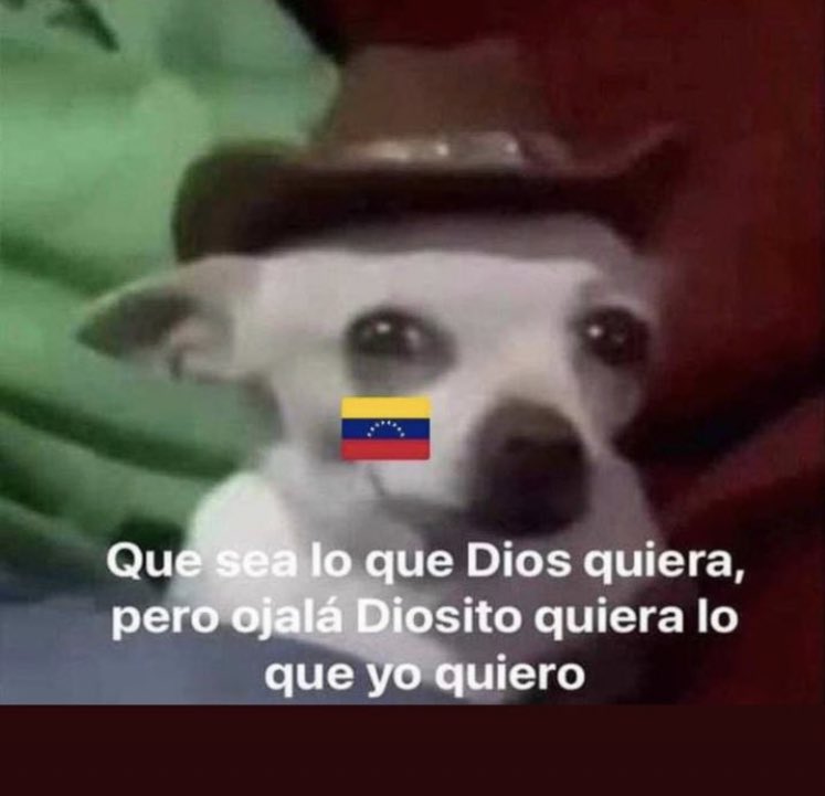 juandavidrrz's tweet photo. yo después de escuchar la respuesta de miss venezuela:

ileana marquez #MissUniverse #missuniverso #missuniverse2024 https://t.co/W6rObvKTs3